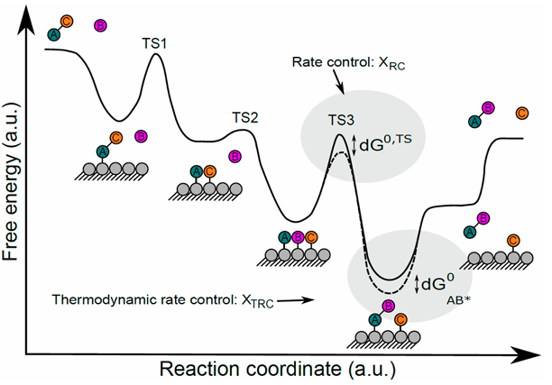 image-20251014161145290